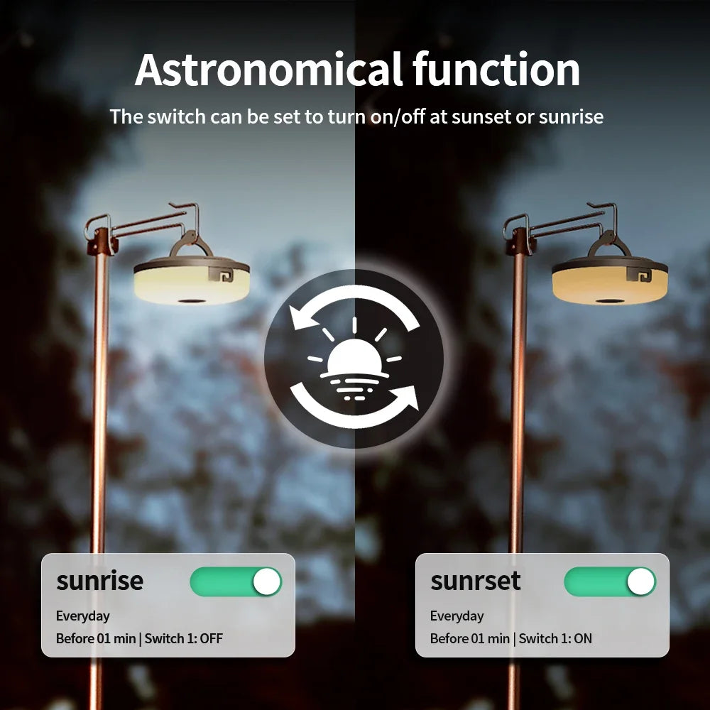 Prise Connectée Intelligente TNCE Tuya WiFi/20A - Compatible Alexa & Google Home